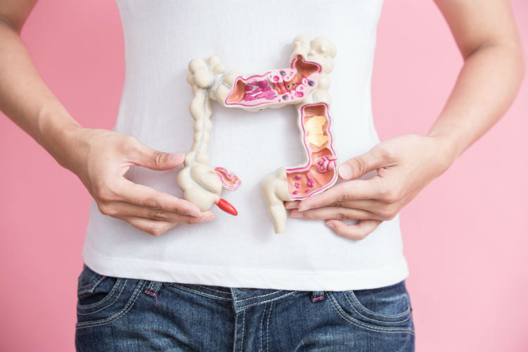 Harmonizing Digestive Wellness: Shashvi Ayurveda's Holistic Approach to Managing Acidity