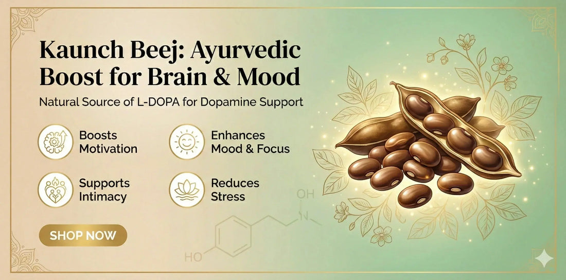 Kaunch Beej & Dopamine: The Ayurvedic Secret to Mood & Intimacy
