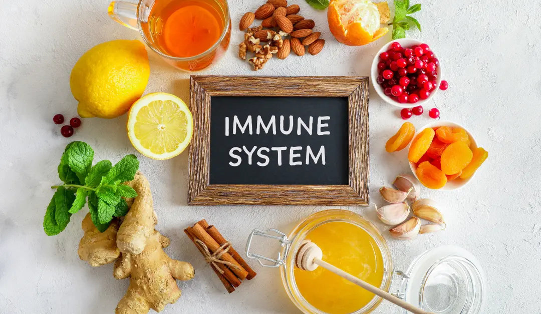 Boost Your Immunity Naturally with Shashvi Natural Raw Honey - Shashvi Ayurveda