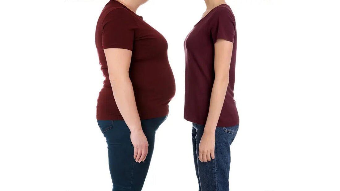 Shashvi Motapa Nashak Vati for Weight Loss: A Natural Approach by Shashvi Ayurveda - Shashvi Ayurveda