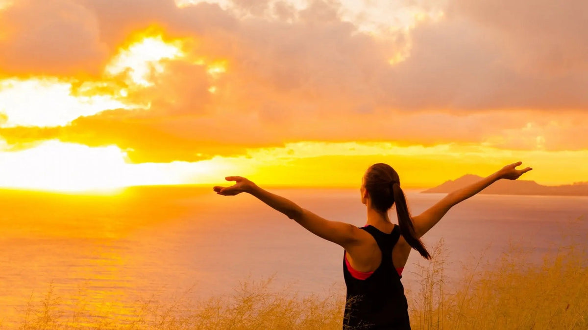 Stress-Free Living: Discover Shashvi - Shashvi Ayurveda