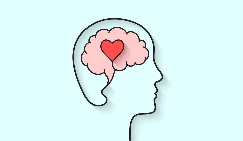 Shashvi Ayurvedic Medicine for Mental Health: Exploring Shashvi Night Ointment - Shashvi Ayurveda