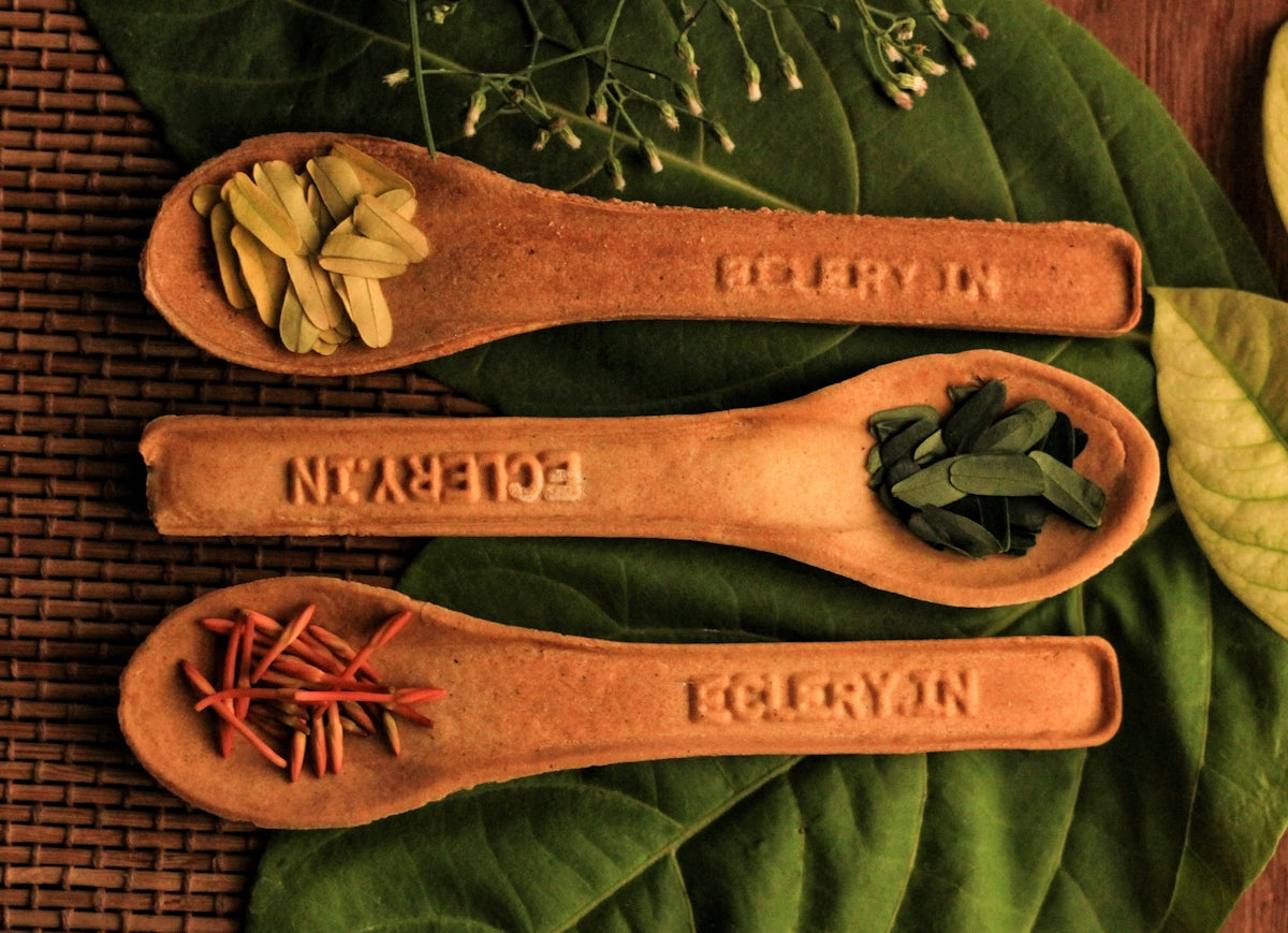 Three wooden spoons with herbs on top of a green leaf