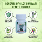 Shashvi Giloy Ghanvati 60N - Natural Immunity Support